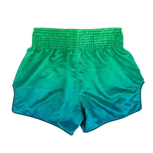 COMING SOON - FAIRTEX MUAY THAI SHORTS - BS1953 QUANTUM