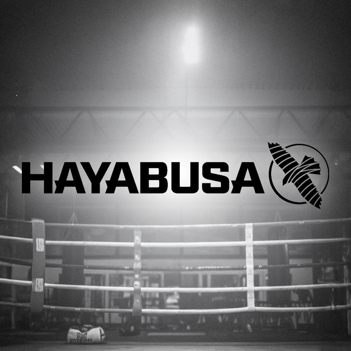 Hayabusa Fightwear: The Global Gold Standard