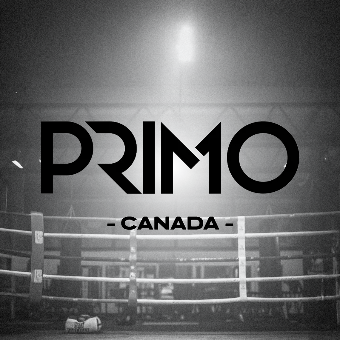 PRIMO: Technical Excellence, Crafted in Thailand