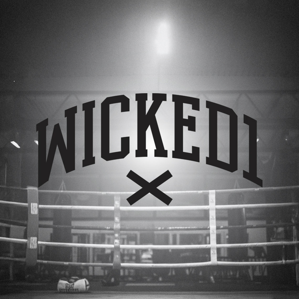 Wicked One: Professional Combat Gear