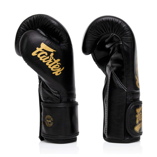Fairtex BGVG1 Boxing gloves